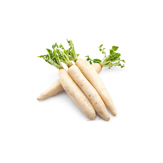 Le Radis daikon