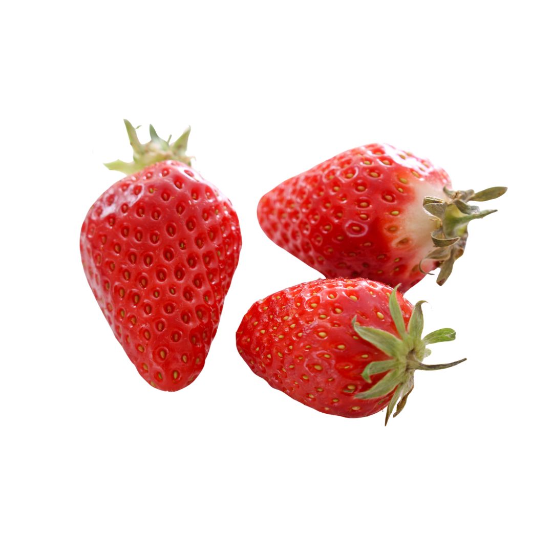 La fraise gariguette x250g